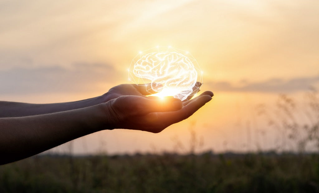 Did you know this week is brain awareness week?